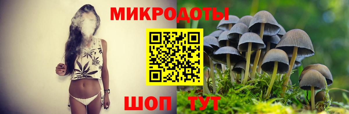 Псилоцибиновые грибы прущие грибы Евпатория