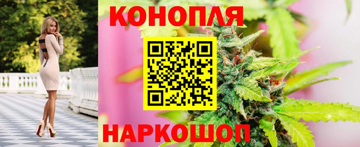 Бошки марихуана сатива Евпатория